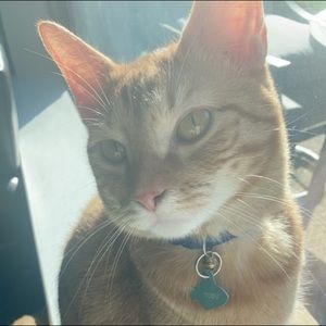 Meet your Posher, Teri